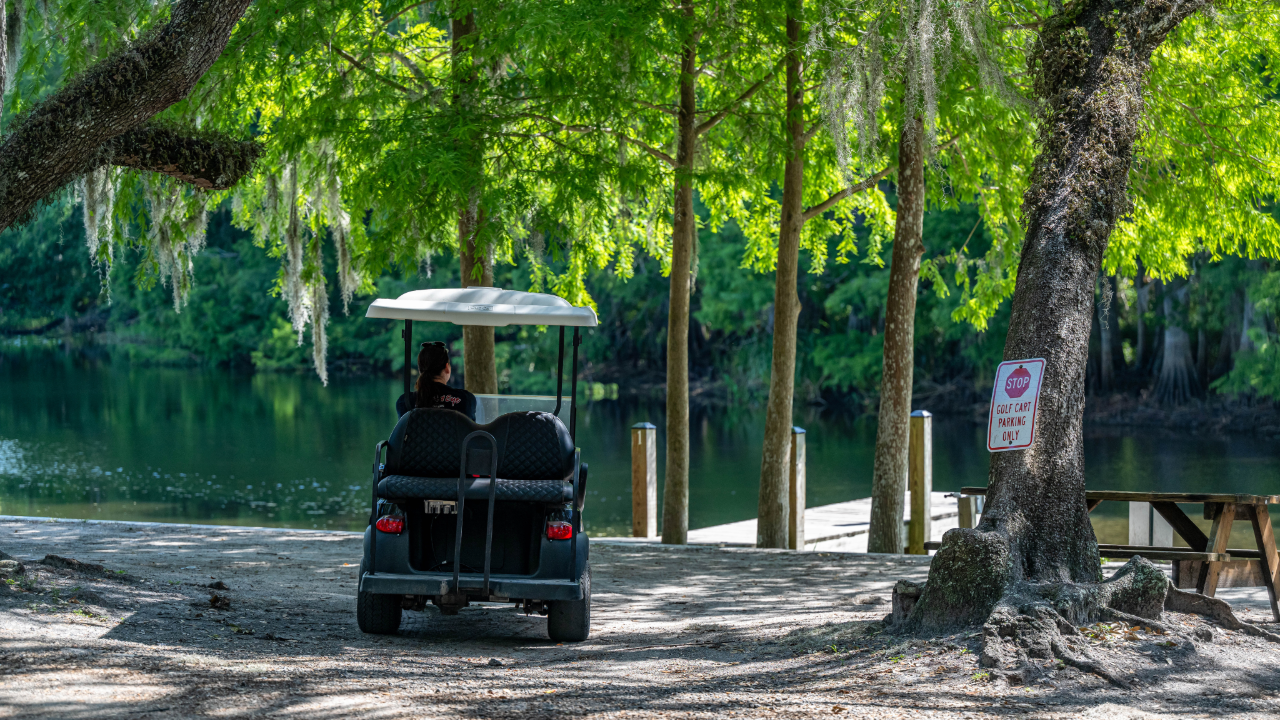 why rent a golf cart? here are 5 reasons to spice up your vacation in florida